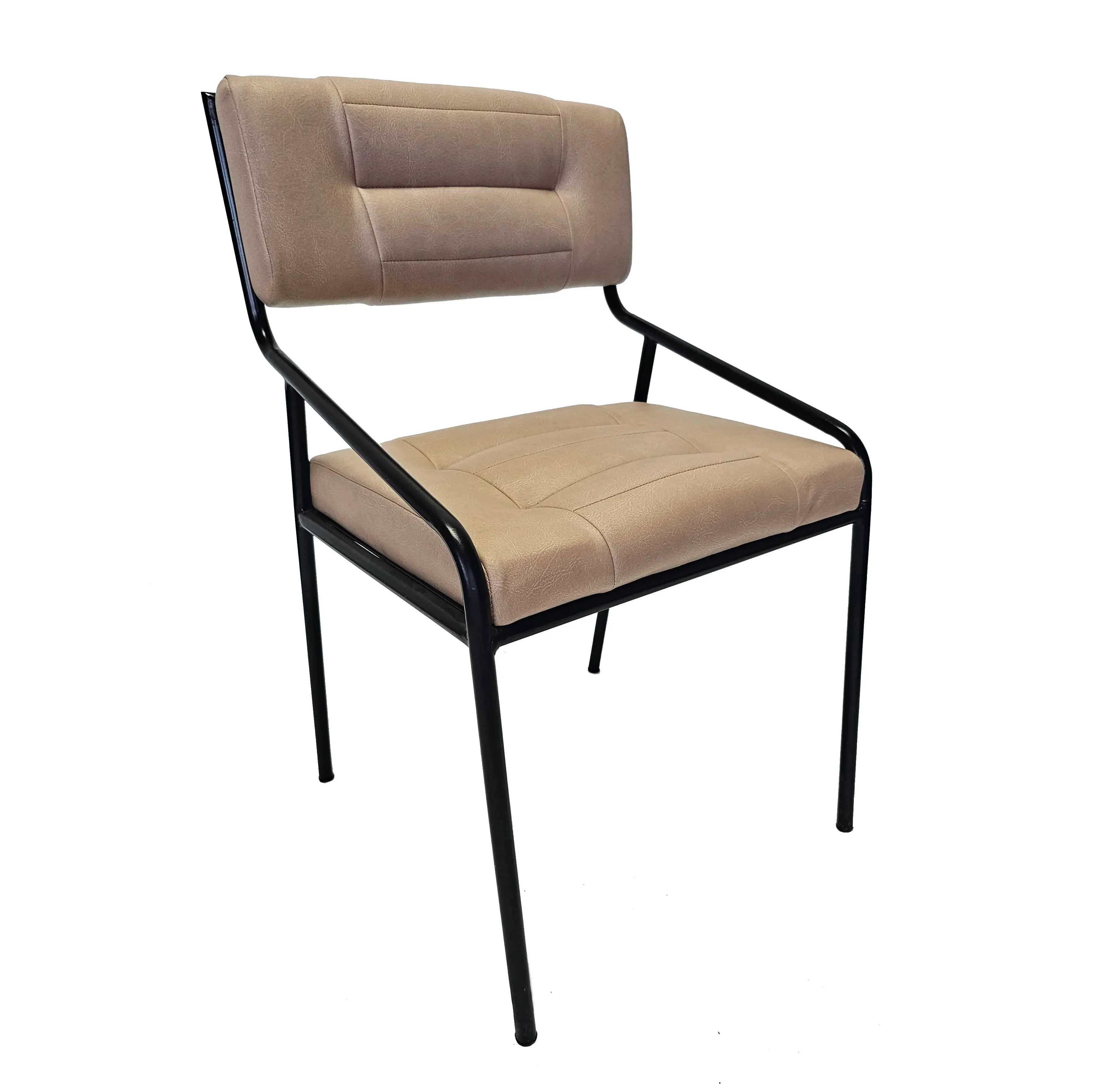 Iron leather Dining Chair with skin Color Leather
